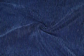 Blue Pleated Veour Velvet Fabric