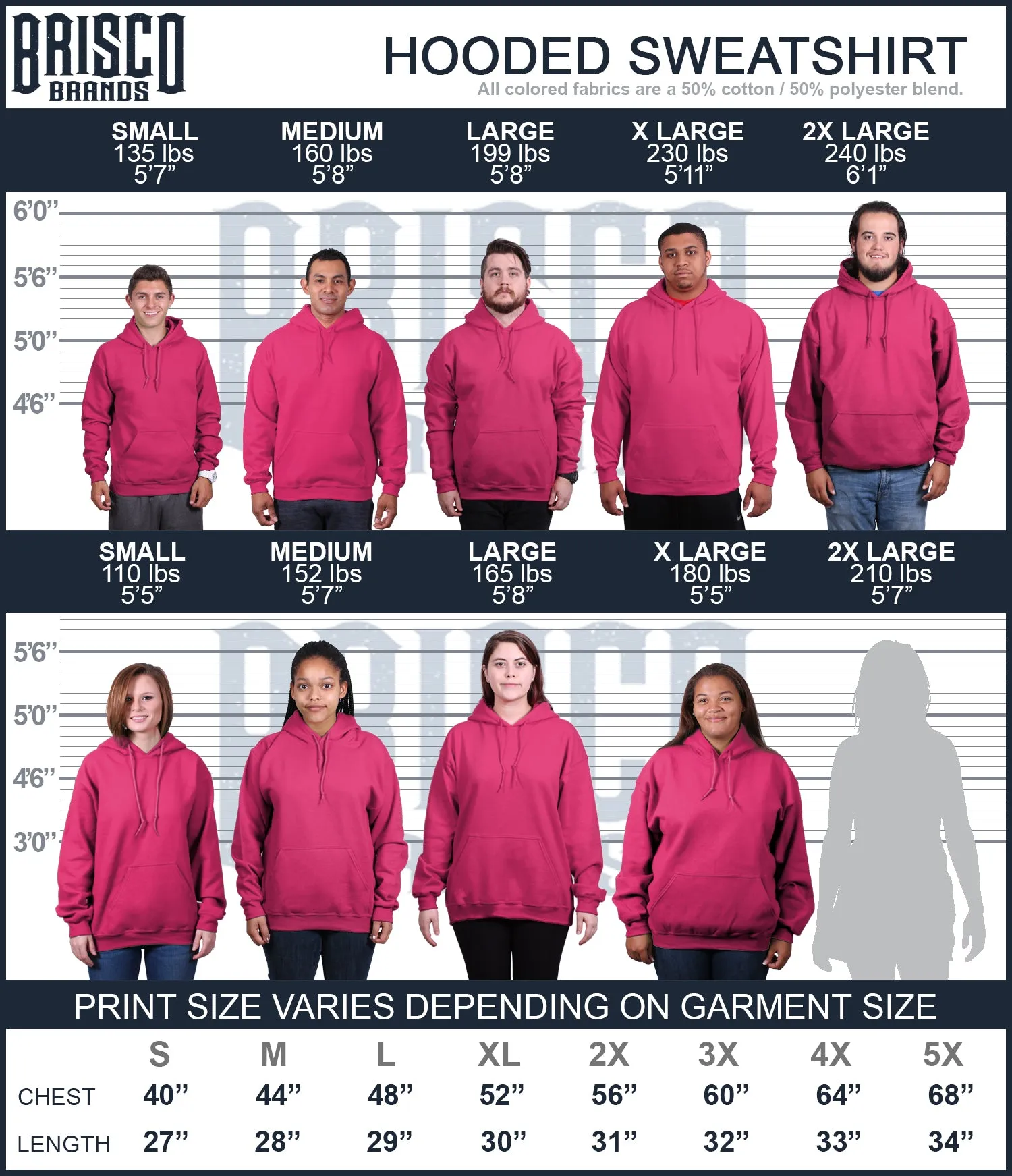 Tail Chase Hoodie