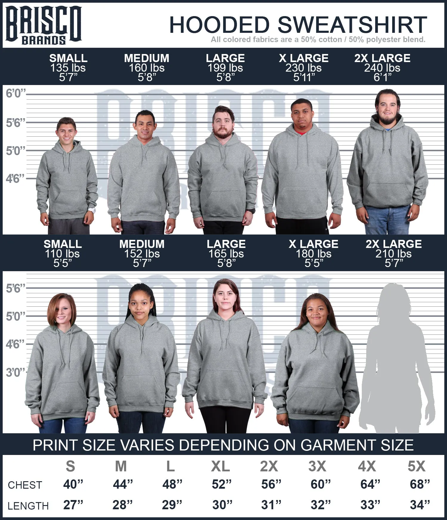 Tail Chase Hoodie