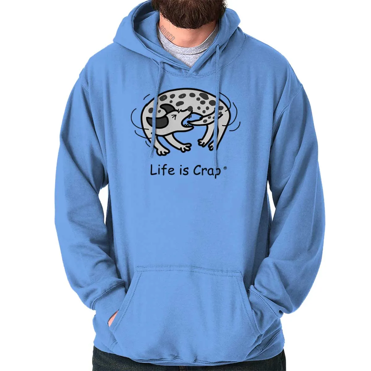 Tail Chase Hoodie