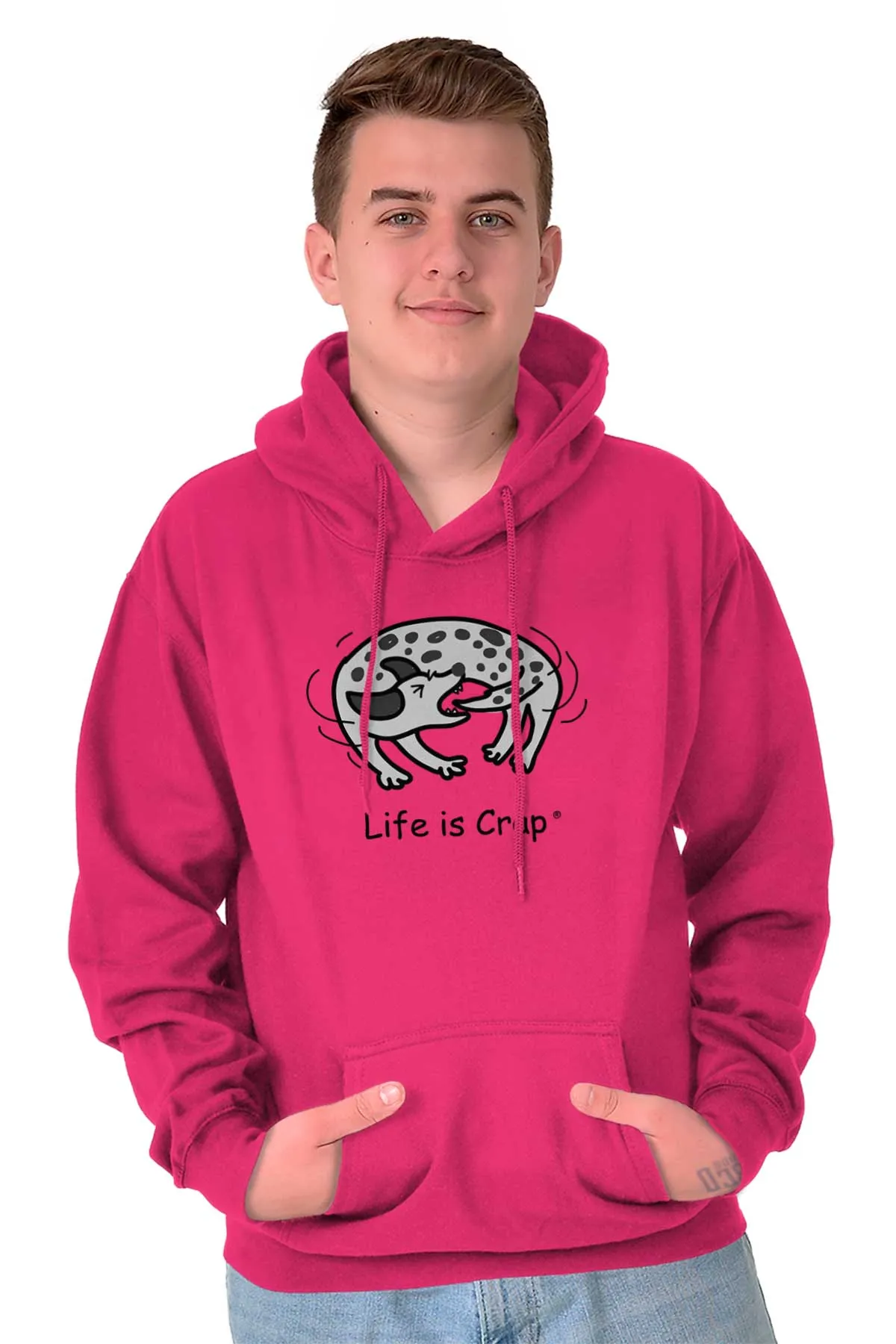 Tail Chase Hoodie
