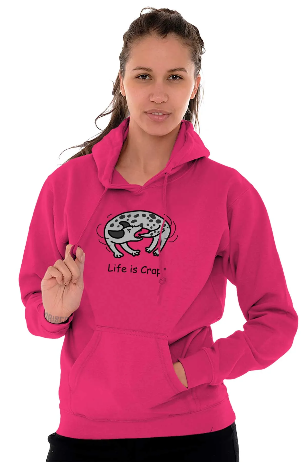 Tail Chase Hoodie