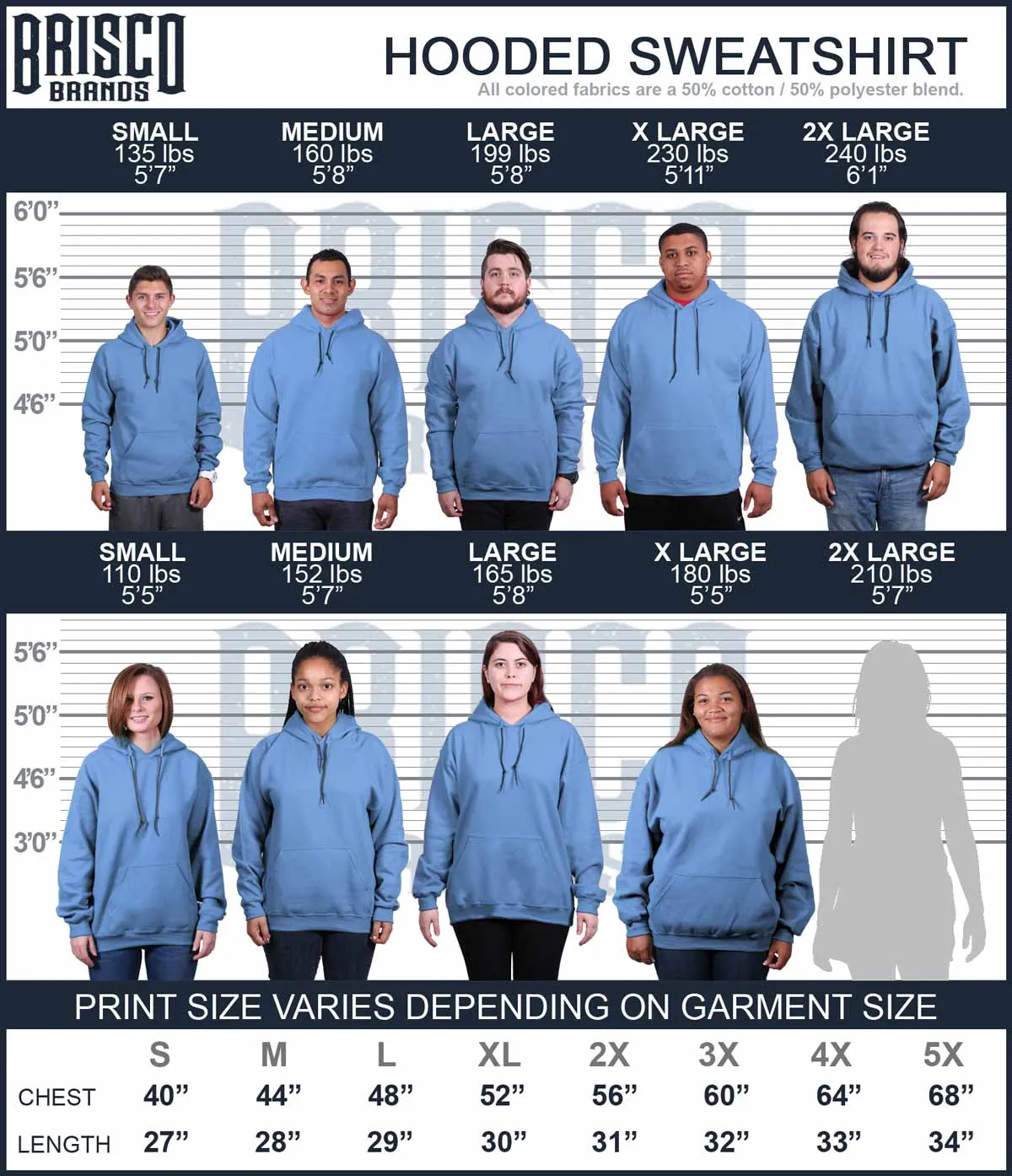 Tail Chase Hoodie